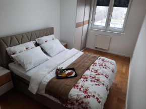 Apartman Stepe Stepanovica